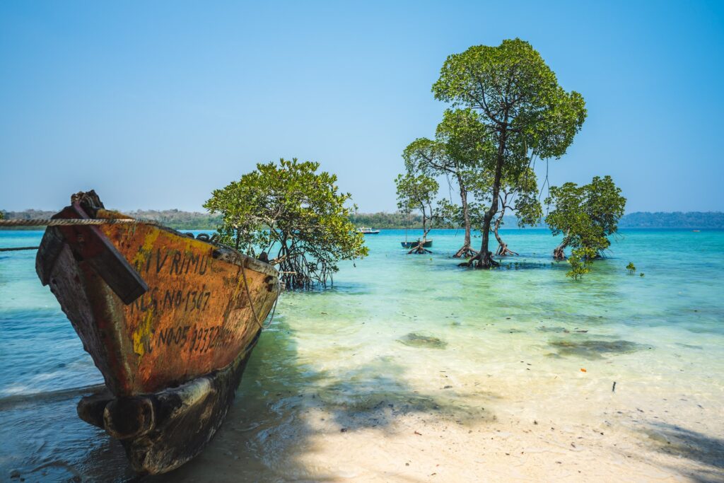 Andaman and Nicobar Islands, one of the Top 10 Best places to visit in February in India