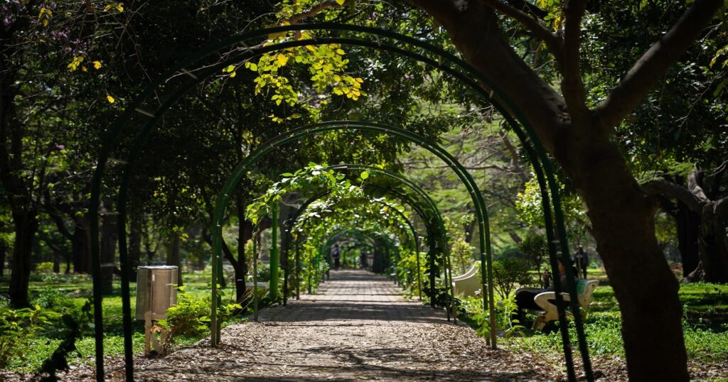 Cubbon Park, One of the top 15 best places to visit in Bangalore