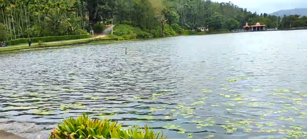 Honnamana Kere Lake, One of the 15 Best Places to See in Coorg