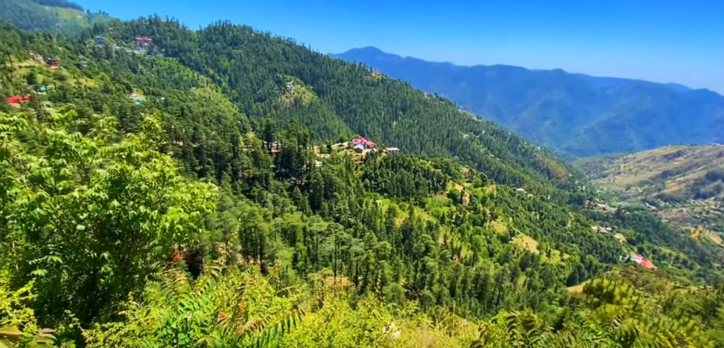 Naldehra Shimla