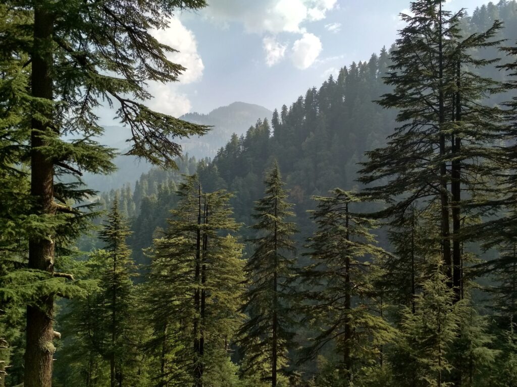 Jibhi, one of the most visited places of Manali