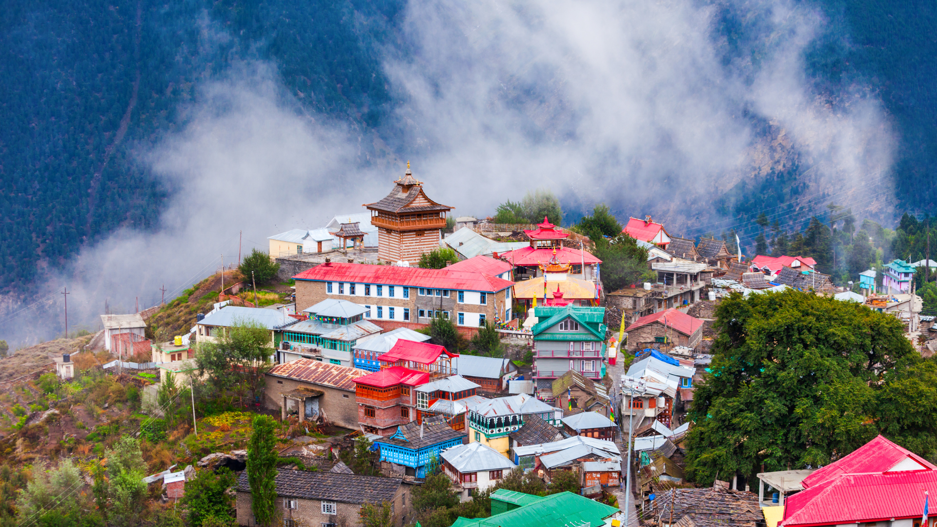 Shimla,Kullu & Manali Tour -1