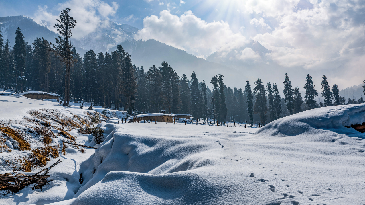 Kashmir Boat House